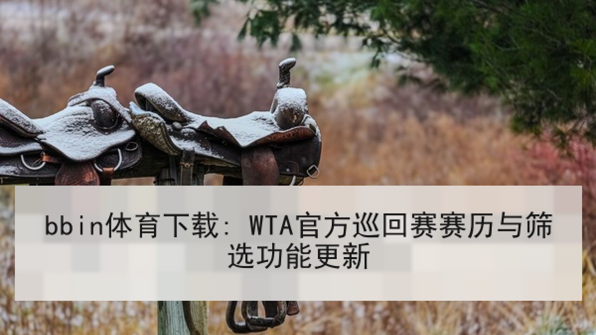 bbin体育下载: WTA官方巡回赛赛历与筛选功能更新